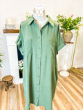 Leslie Shirt Dress