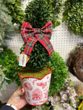 mud pie large toile boxwood