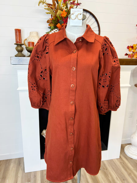 Rust Denim Dress