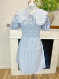 Delia Striped Dress